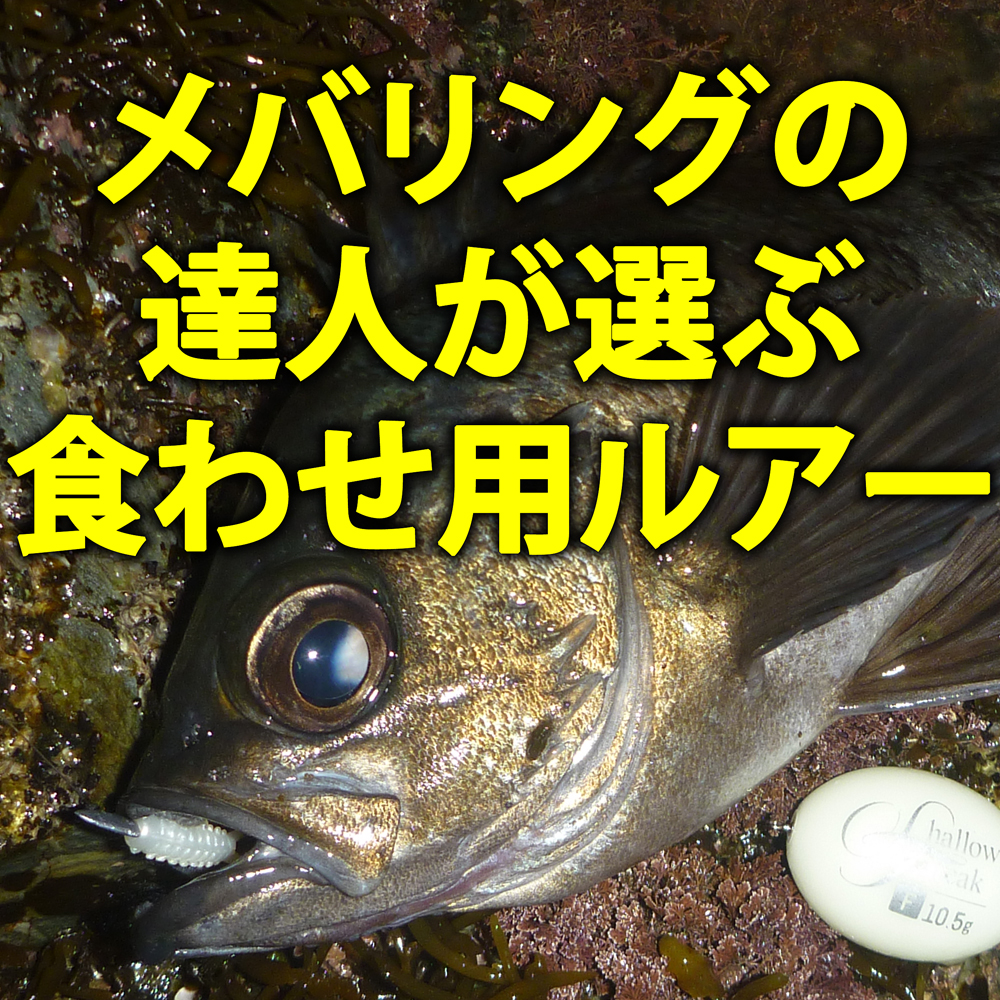 【メバリングの達人10人に聞く】困った時のお助けルアーは？ 食わせ用の超実績ルアーを公開 |  釣りの総合ニュースサイト「LureNewsR（ルアーニュース アール）」