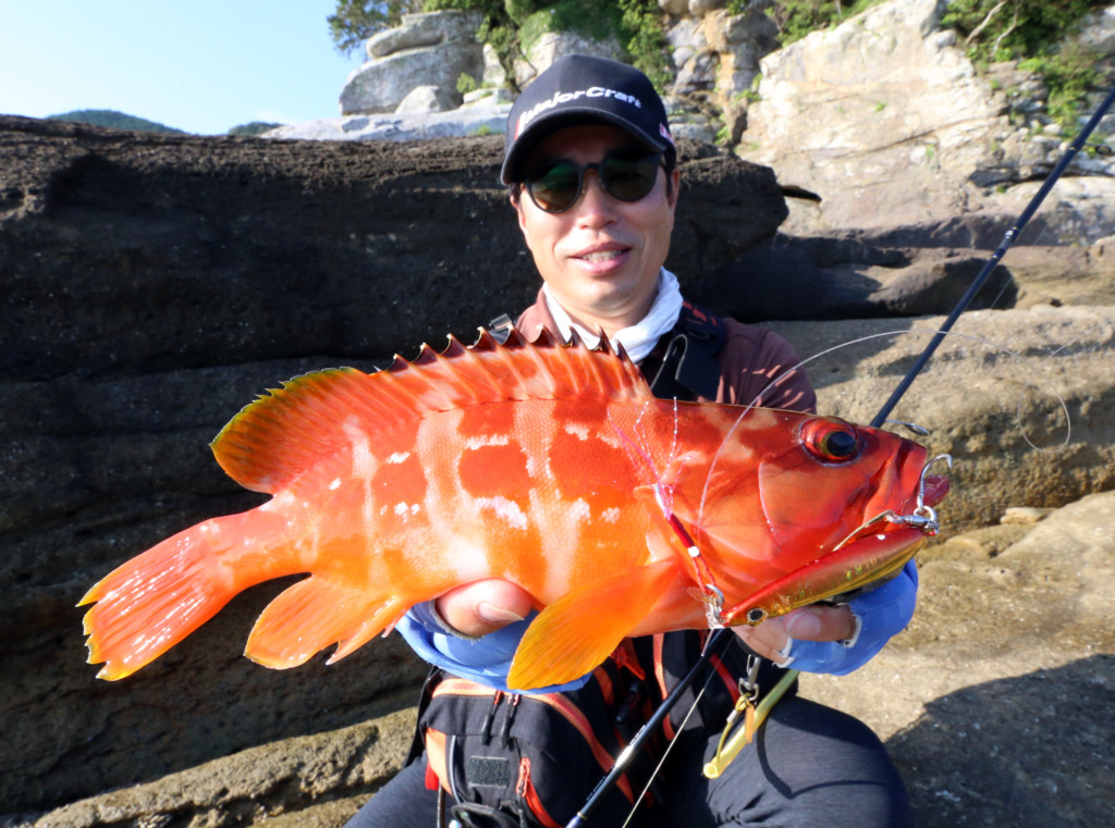 メジャークラフトのロックフィッシュロッド大全集！「エントリーする