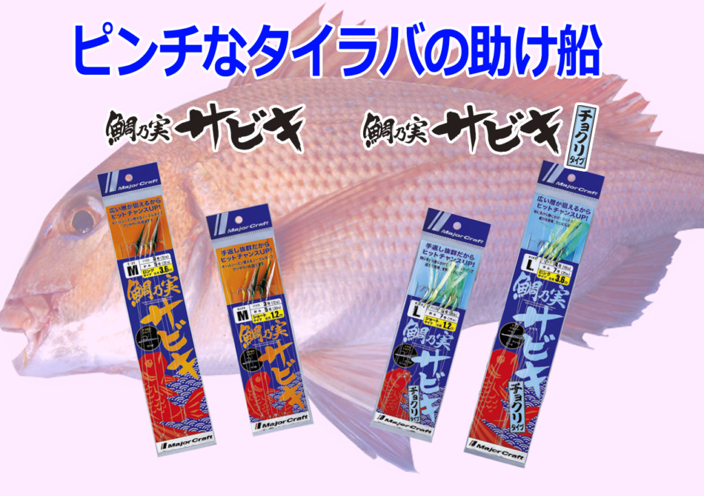 タイラバで厳しい時にサビキはいかが メジャークラフトから 鯛乃実サビキ 釣りの総合ニュースサイト Lurenewsr ルアーニュース アール