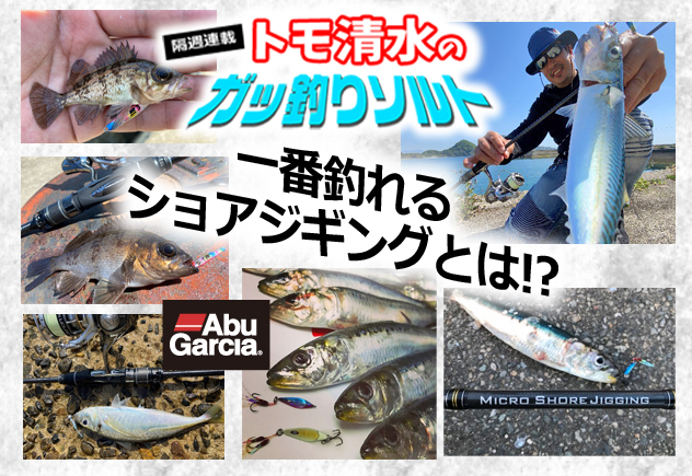 一番釣れるショアジギングとは!? | 釣りの総合ニュースサイト