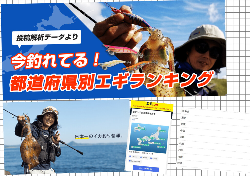 こんな情報がほしかった ヤマシタのエギcom 今釣れてる 都道府県別エギランキング 釣りの総合ニュースサイト Lurenewsr ルアーニュース アール