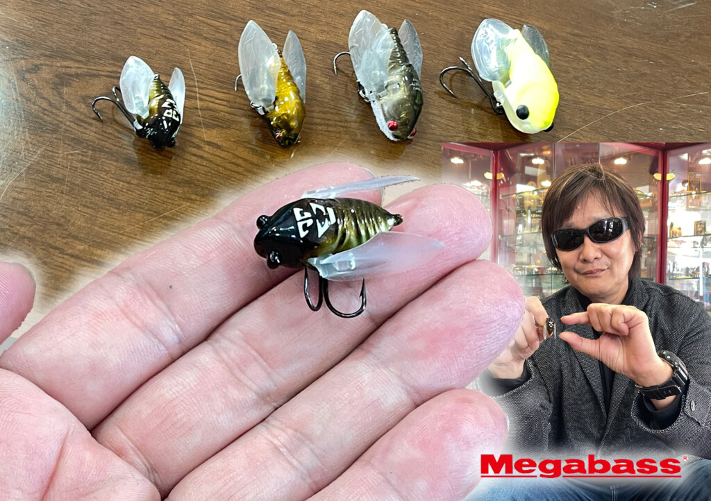 Cicada Lures Comparison: MegaBass, wLure, JetTackle Cicada