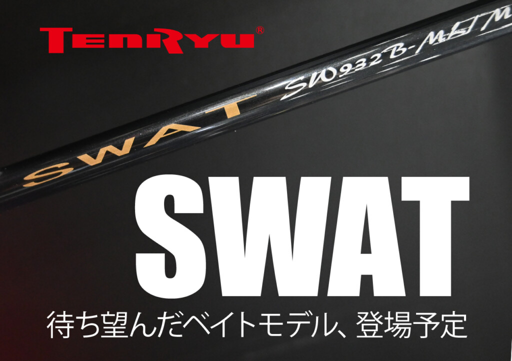 天龍 SWAT SW842B-ML/M - ロッド